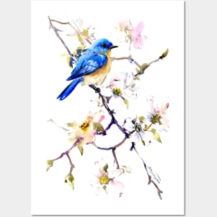 Bluebird and Dogwood Posters and Art